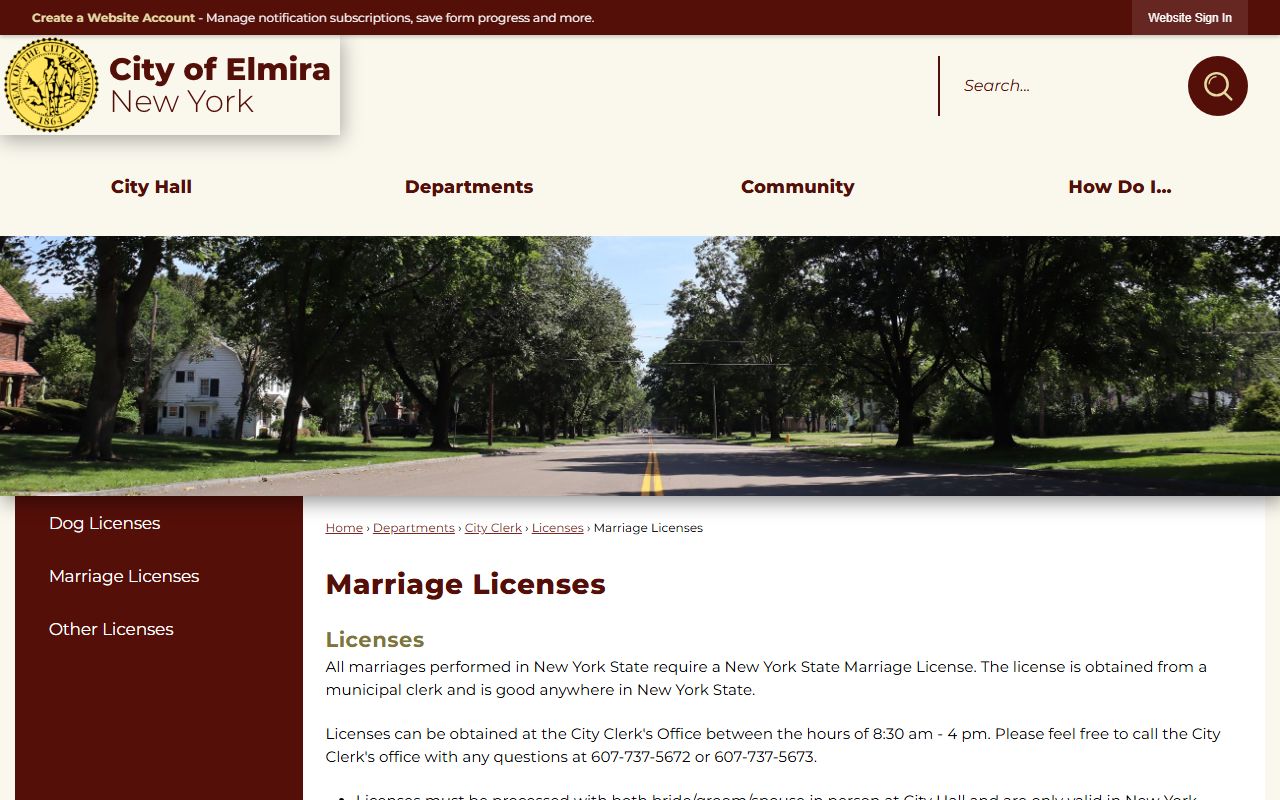 City of Elmira marriage license page related to Chemung County divorce records